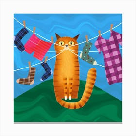 Laundry Day 2 Canvas Print