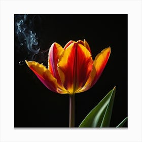 Smokey Tulip Canvas Print