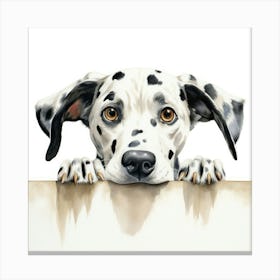 Dalmatian Dog 2 Canvas Print