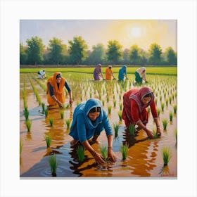 An Image Of Women Working In Rice Field, Planting The Rice Saplings, Pakistan. 7 Toile