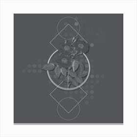 Vintage Rose of Castile Botanical with Line Motif and Dot Pattern in Ghost Gray n.0403 Canvas Print