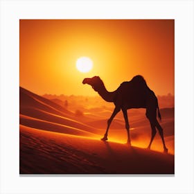 Camel In The Desert At Sunset Canvas Print