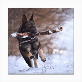 German Shepherd Dog In The Snow Canvas Print