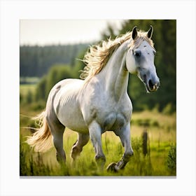 White Horse Galloping 7 Canvas Print