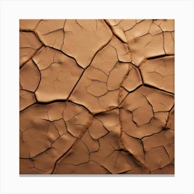 Dry Cracked Earth 2 Canvas Print