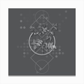 Vintage White Flowered Rose Botanical with Line Motif and Dot Pattern in Ghost Gray n.0176 Canvas Print