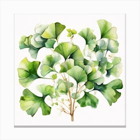 Tropical leaves of ginkgo biloba 3 Canvas Print