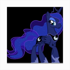 My Little Pony Canvas Print