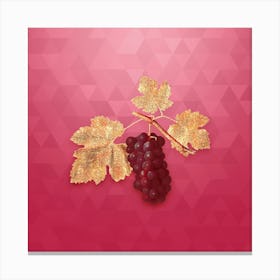 Vintage San Columbano Grapes Botanical in Gold on Viva Magenta n.0423 Canvas Print