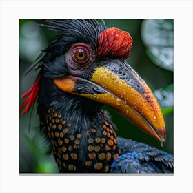 Hornbill Canvas Print