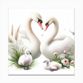 Pair of swans Canvas Print