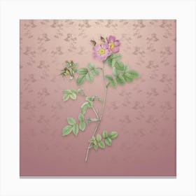 Vintage Pink Sweetbriar Roses Botanical on Dusty Pink Pattern Canvas Print