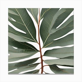 A Mesmerizing Eucalyptus Leaf Abstract 1 Canvas Print