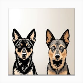 Lancashire Heeler dog2 Canvas Print