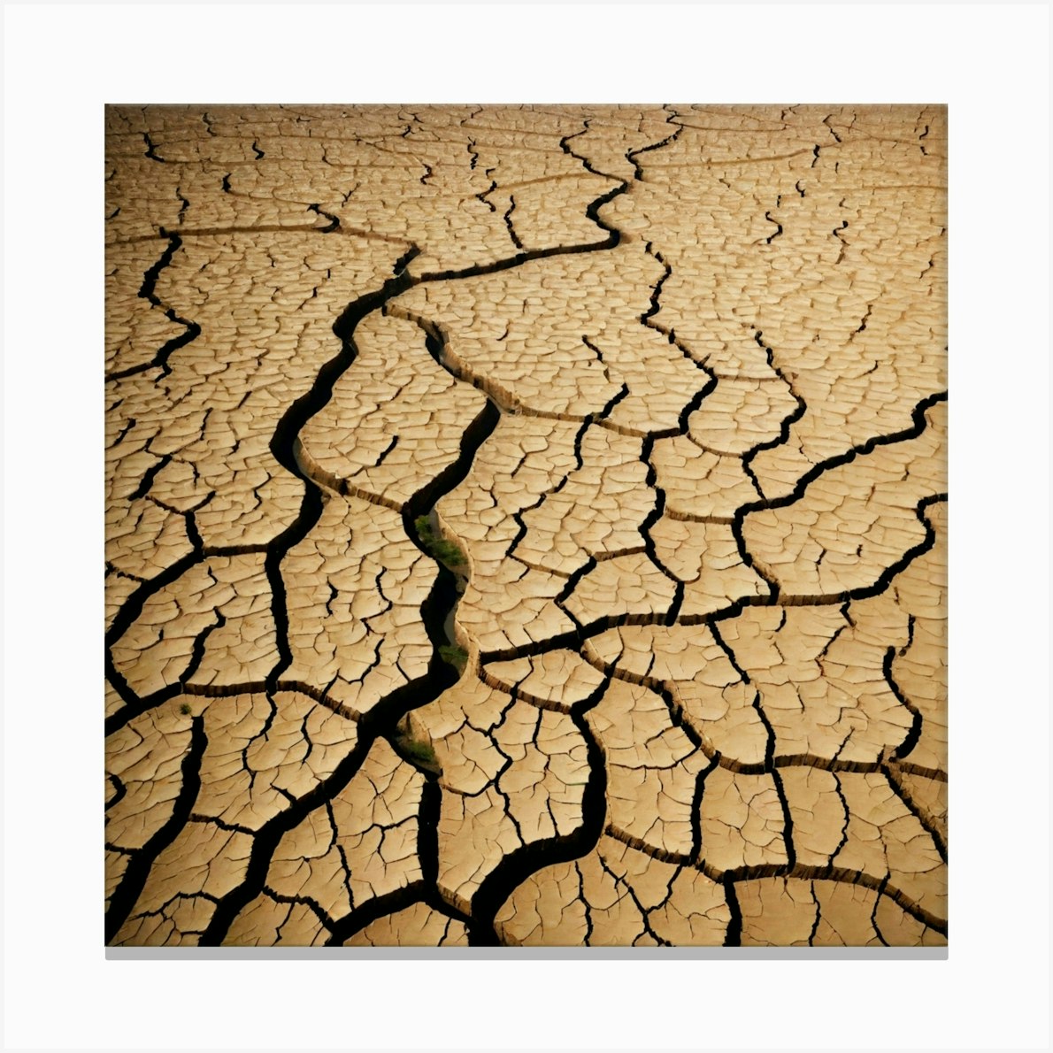 Dried And Cracked Soil In Arid Season. Canvas Print / Canvas Art