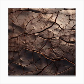 Cracked Surface 1 Canvas Print