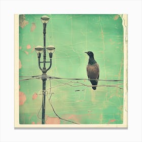 Painted Birds Hate Street Art Canvas Print