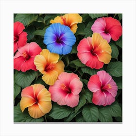 Beautiful and Colorful Hibiscus Flowers Canvas Print