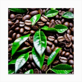 Coffee Beans And Leaves Canvas Print