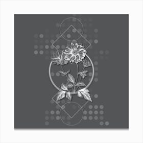 Vintage Hyacinth Botanical with Line Motif and Dot Pattern in Ghost Gray n.0117 Canvas Print