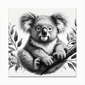 Koala 5 Canvas Print