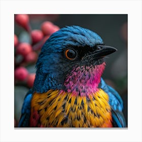 Colorful Bird 6 Canvas Print