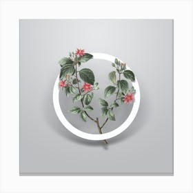 Vintage Crossberry Minimalist Botanical Geometric Circle on Soft Gray n.0310 Canvas Print