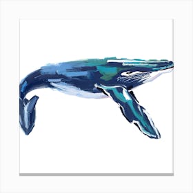 Humpback Whale 03 Canvas Print