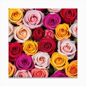 Colorful Roses Background 14 Canvas Print