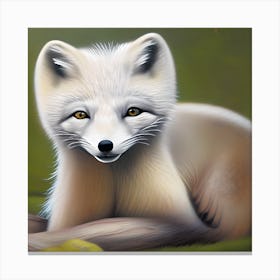 Cute Arctic Fox 1 Canvas Print