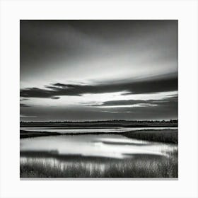 Black And White Photograph - Marsh Canvas Print