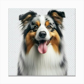 Australian Shepherd Dog 2 Canvas Print