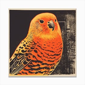 Retro Bird Lithograph Budgerigar 1 Canvas Print
