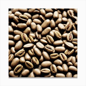 Coffee Beans 246 Canvas Print