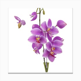 Purple Orchids Canvas Print