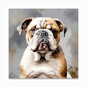 Bulldog Canvas Print