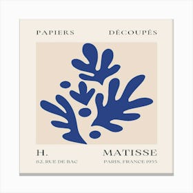 Matisse (16) Canvas Print