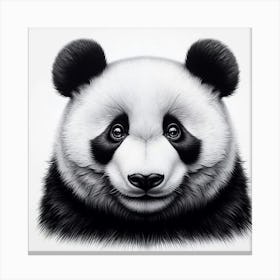 Panda Bear 10 Canvas Print