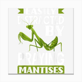 Insect Bug Collector Easily Distracted By Praying Mantises Canvas Print