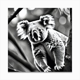 Koala In Tree 1 Canvas Print