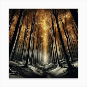 Dark Forest 8 Canvas Print