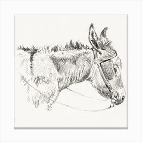 Head Of A Donkey (1821), Jean Bernard Canvas Print
