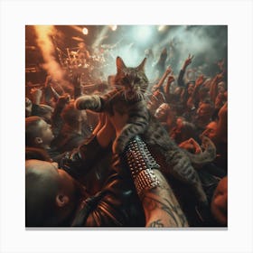 Cat On A Rock Concert Canvas Print