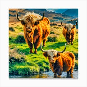 Highland Cows Canvas Print