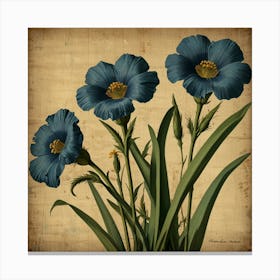 Default Flax3 Floral Botanical Vintage Poster Flower Canvas Pr 1 Canvas Print