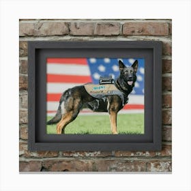 The K9 On My Wall Canvas Print