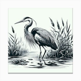 Illustration Heron Canvas Print