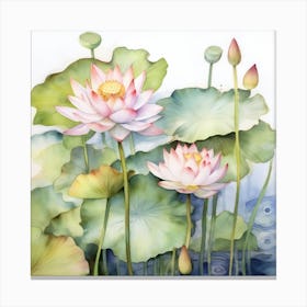  Waterlily Watercolor Canvas Print