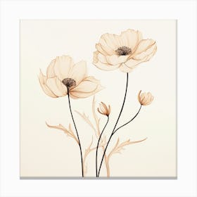 Poppy Flowers 2 Canvas Print