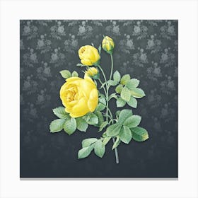 Vintage Yellow Rose Botanical on Slate Gray Pattern n.2231 Canvas Print
